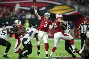 Carson Palmer in All or Nothing: A Season with the Arizona Cardinals (2016)