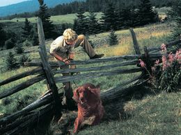 Gilles Payant in Big Red (1962)