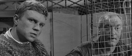 Daniel Ivernel and Hardy Krüger in Sundays and Cybèle (1962)