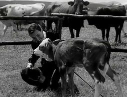 Karel Gott in Karel Gott: Zdvorilý Woody (1963)