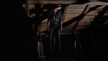 James Villemaire in Zombie 5: Killing Birds (1988)