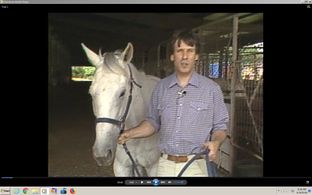 KTRK, Channel 13, Houston