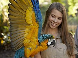 Bindi Irwin in Crikey! It's the Irwins: Roberts Alligator Feeding Frenzy (2019)