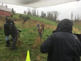 Shooting Sparrows scene - Bad Times at El Royale