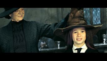 Harry Potter & The Deathly Hallows pt2