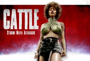 Movie Poster for Cattle