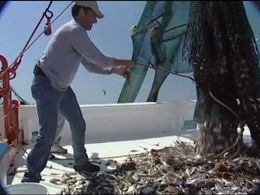 Mike Rowe in Dirty Jobs (2005)