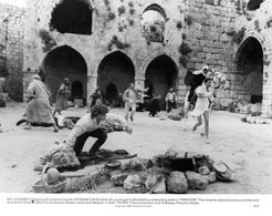 Phoebe Cates, Willie Aames, and Richard Curnock in Paradise (1982)
