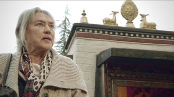 Johana Tesarová in Kapitán Exner (2017)