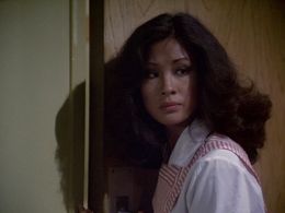 Jean Marie Hon in The Hardy Boys/Nancy Drew Mysteries (1977)