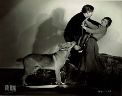 Janet Chandler, Mitchell Harris, and Son O'Dawn in Born to Fight (1932)