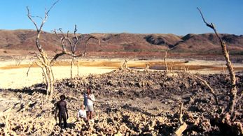 Jenny Agutter, David Gulpilil, and Luc Roeg in Walkabout (1971)