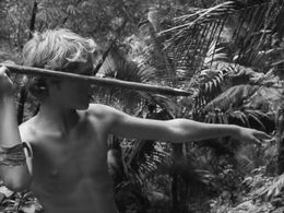 Tom Chapin in Lord of the Flies (1963)