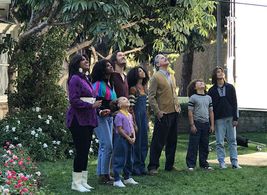 Luca Luhan on Mixed-ish