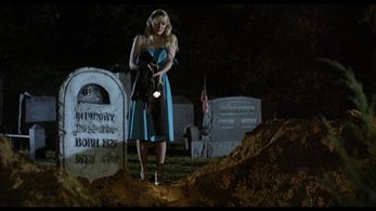 Vicky Dawson in The Prowler (1981)