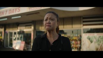 Insurance Broker Cafe Owner