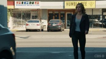 NCIS: LA --- Sasha Channing -- CBS