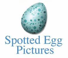 Hatching original content for TV and film, both animated and live action.