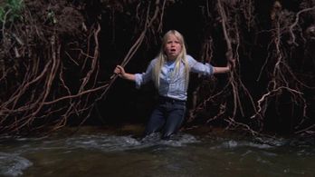 Hollye Holmes in The Adventures of the Wilderness Family (1975)