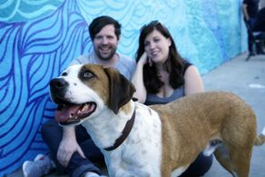 Barry Rothbart, Allison Tolman, Samm Hodges, and Ned the Dog in Downward Dog (2017)