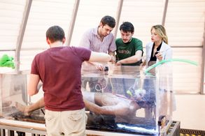 Haley Bennett and Ilya Naishuller in Hardcore Henry (2015)