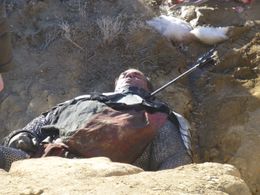 Dave Bresnahan in Mythica 3.