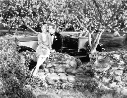 Alexander Gray and Marilyn Miller in Sally (1929)