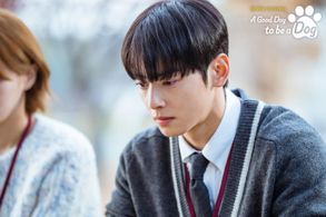Cha Eun-Woo in A Good Day to be a Dog (2023)