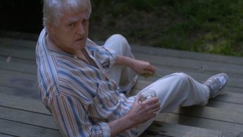 Peak Kwinarian in Illusive Fields (2012)