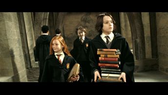 Harry Potter & The Deathly Hallows pt2