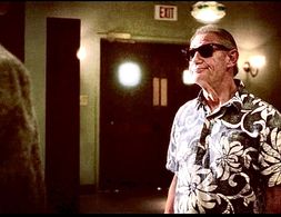 as Don Fab - LODGE 49, amc