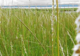 Reverence, still frame