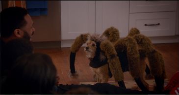 Mike Epps, Sayeed Shahidi, and Iman Benson in Uncle Buck (2016)