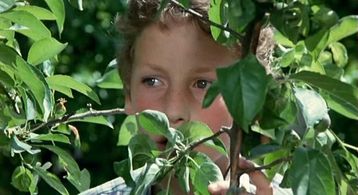 Ross Hill in The World of Don Camillo (1984)