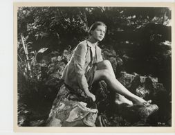 Key Meersman in The Young One (1960)