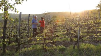 The Promise documentary