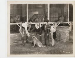 Mickey Rooney, Clyde Beatty, and Mickey Rentschler in The Lost Jungle (1934)