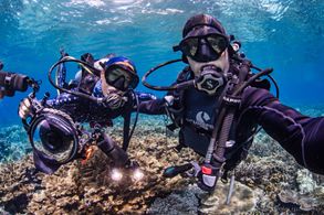 Diving in Raja Ampat
