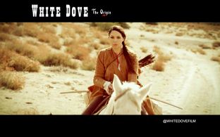 White Dove Still