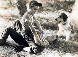 Johnny Calkins, Gene Collins, and Napoleon in Ginger (1946)