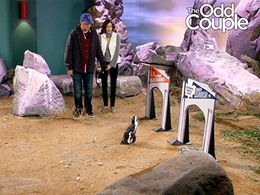 Teri Hatcher and Matthew Perry in The Odd Couple (2015)