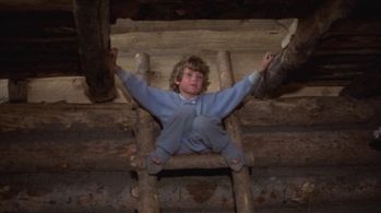 Ham Larsen in The Adventures of the Wilderness Family (1975)