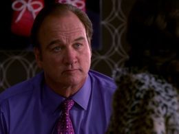 Jim Belushi in The Defenders (2010)