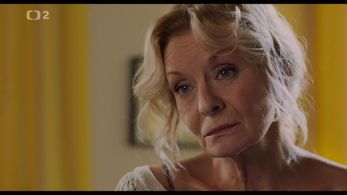 Vilma Cibulková in Zeny, které nespí (2020)