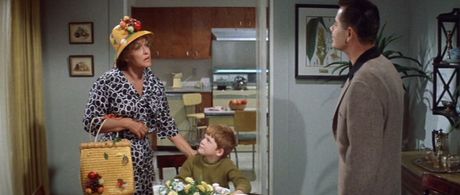 Ron Howard, Glenn Ford, and Roberta Sherwood in The Courtship of Eddie's Father (1963)