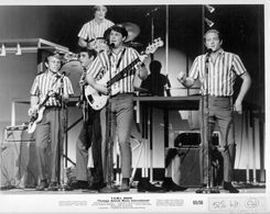 Al Jardine, Brian Wilson, Carl Wilson, Dennis Wilson, and The Beach Boys