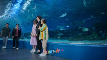 Gina Alajar, Bea Alonzo, Alden Richards, and Jeric Gonzales in Start-Up Ph (2022)