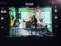 Deadpool stunt double for Morena Baccarin