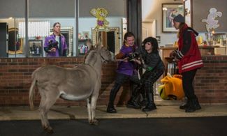 Jeff Anderson, Jason Mewes, and Austin Zajur