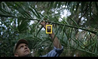 Still from National Geographic’s “Something Bit Me!”